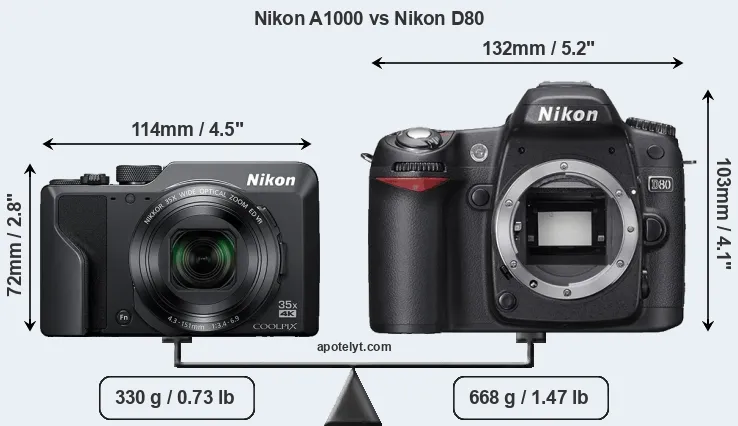 Size Nikon A1000 vs Nikon D80