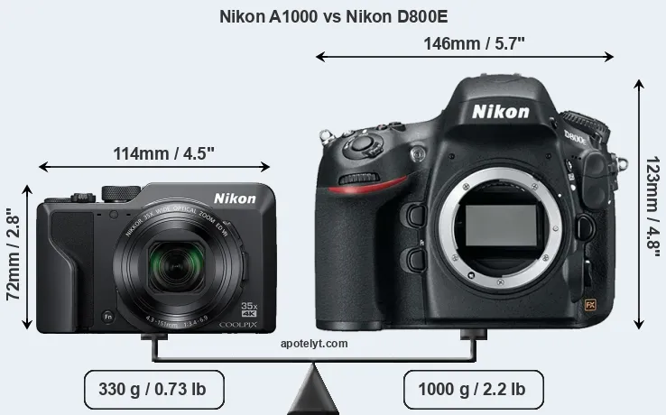 Size Nikon A1000 vs Nikon D800E