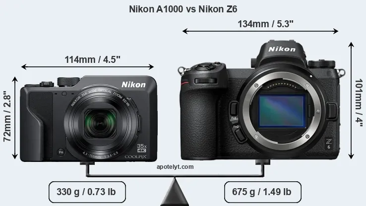 Size Nikon A1000 vs Nikon Z6