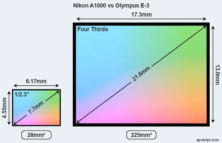 Nikon A1000 and Olympus E-3 sensor measures