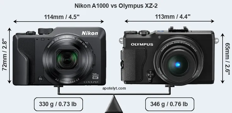Size Nikon A1000 vs Olympus XZ-2