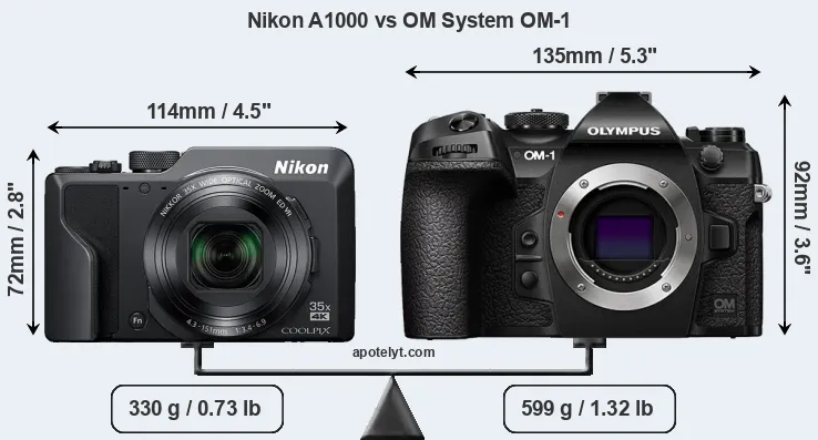 Size Nikon A1000 vs OM System OM-1