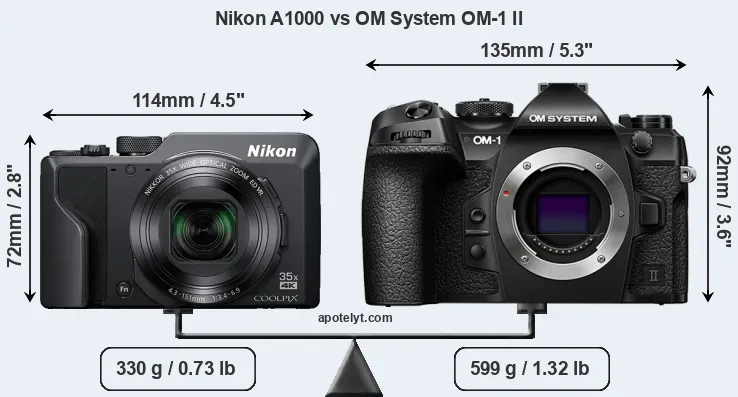 Size Nikon A1000 vs OM System OM-1 II