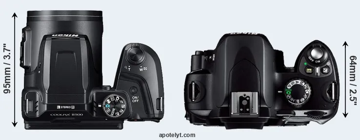 Compare B500 versus D40 top