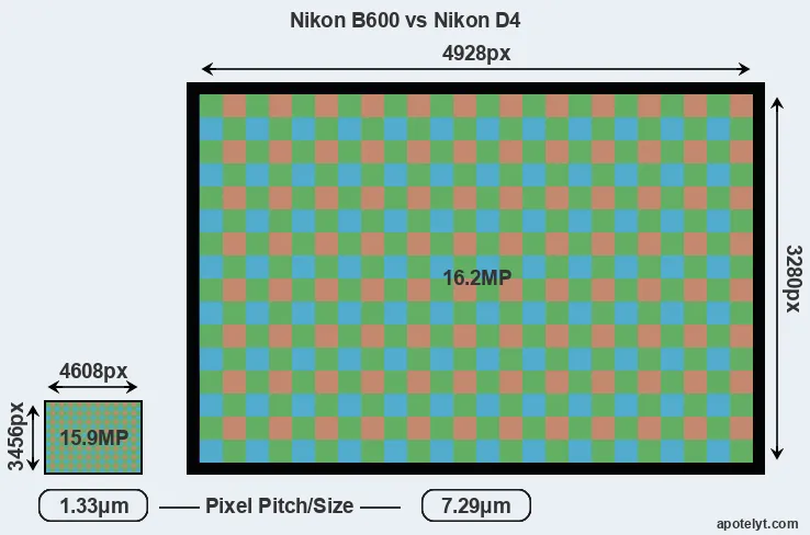 B600 versus D4 MP