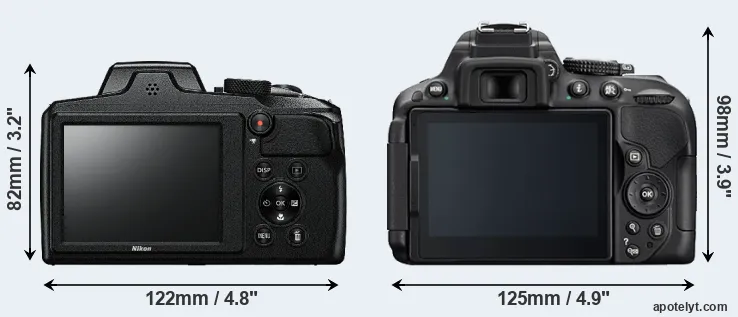 Comparison B600 or D5300 rear