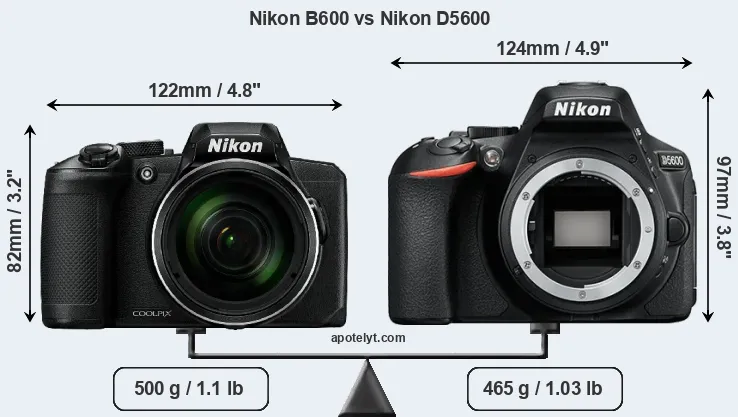 Size Nikon B600 vs Nikon D5600