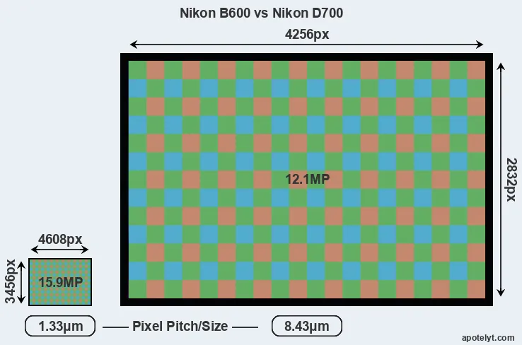 B600 versus D700 MP