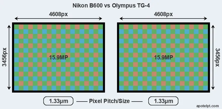 B600 versus TG-4 MP