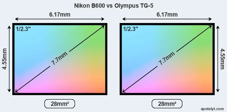 Nikon B600 and Olympus TG-5 sensor measures