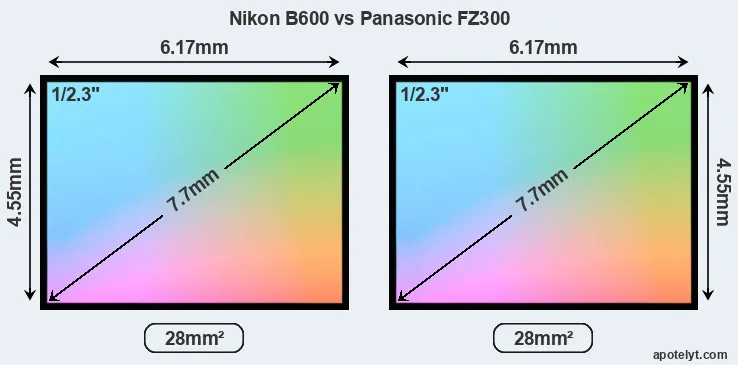 Nikon B600 and Panasonic FZ300 sensor measures
