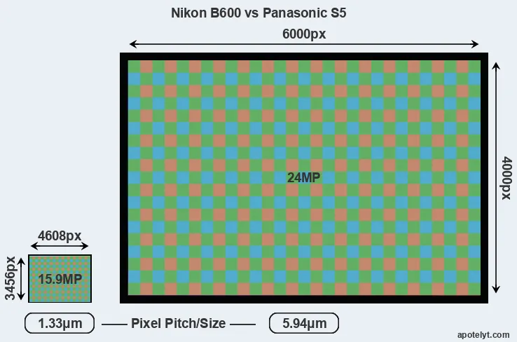 B600 versus S5 MP