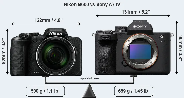 Size Nikon B600 vs Sony A7 IV