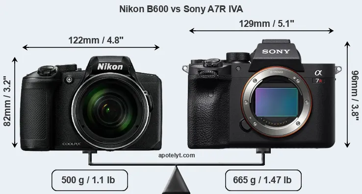 Size Nikon B600 vs Sony A7R IVA