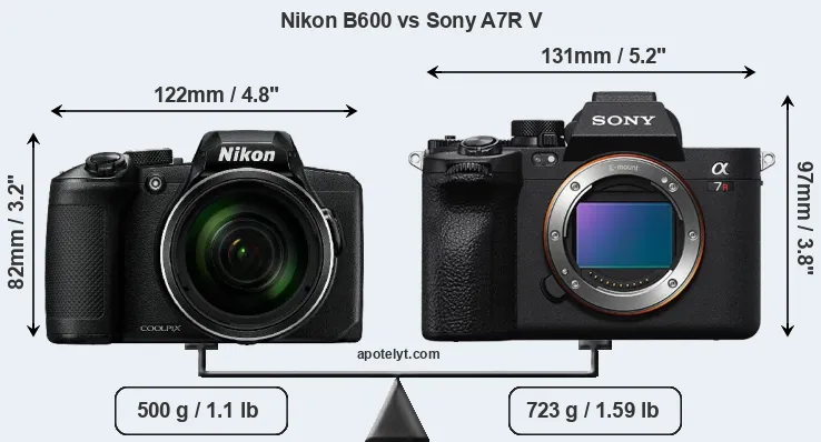 Size Nikon B600 vs Sony A7R V