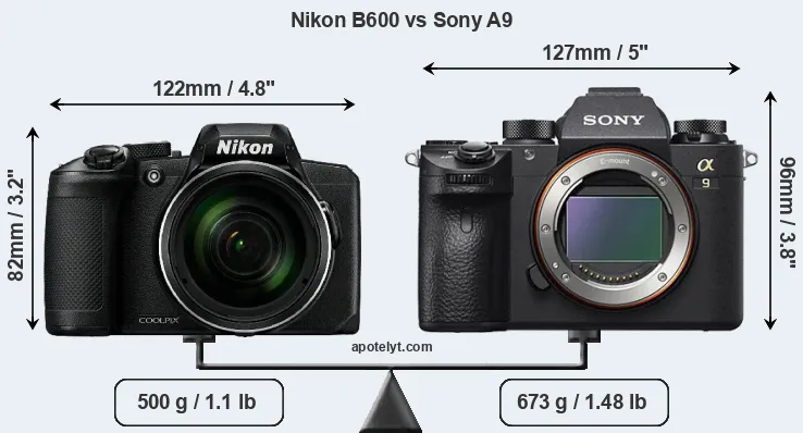 Size Nikon B600 vs Sony A9