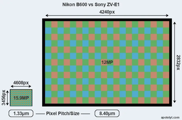 B600 versus ZV-E1 MP