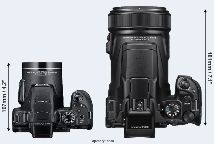 Compare B700 versus P1000 top