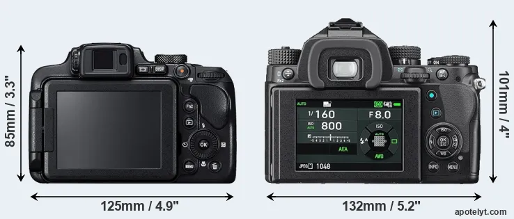 Comparison B700 or KP rear