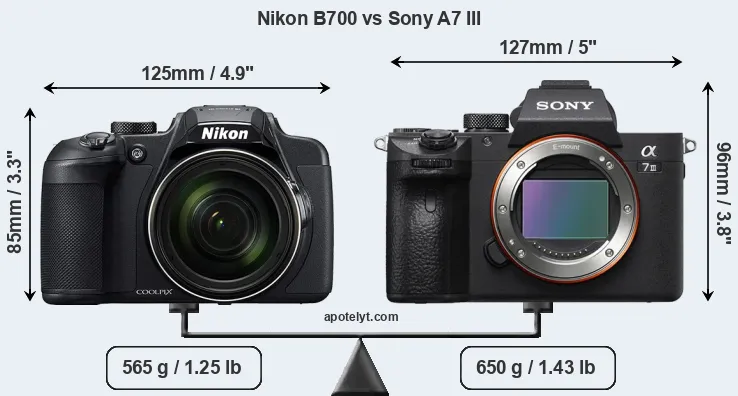 Size Nikon B700 vs Sony A7 III