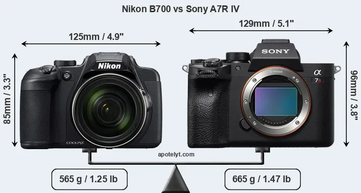 Size Nikon B700 vs Sony A7R IV