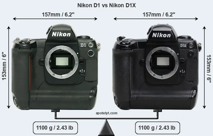 Size Nikon D1 vs Nikon D1X