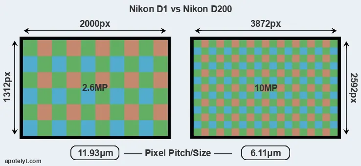 D1 versus D200 MP