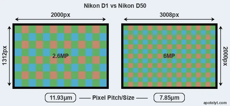 D1 versus D50 MP