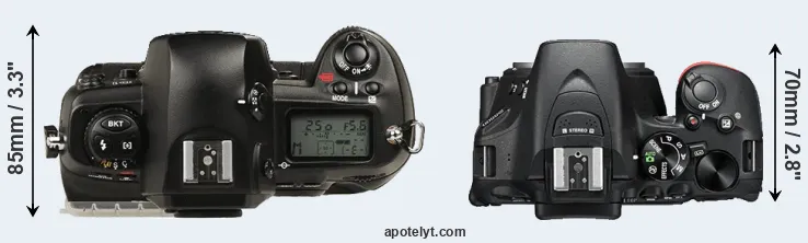 Compare D1 versus D5500 top
