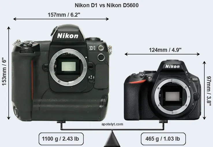 Size Nikon D1 vs Nikon D5600
