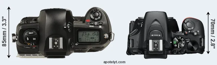 Compare D1 versus D5600 top