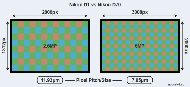 D1 versus D70 MP