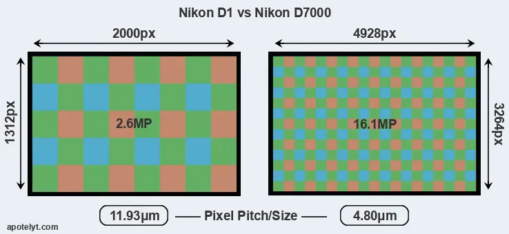 D1 versus D7000 MP
