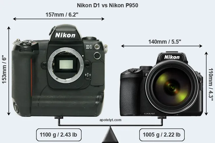 Size Nikon D1 vs Nikon P950