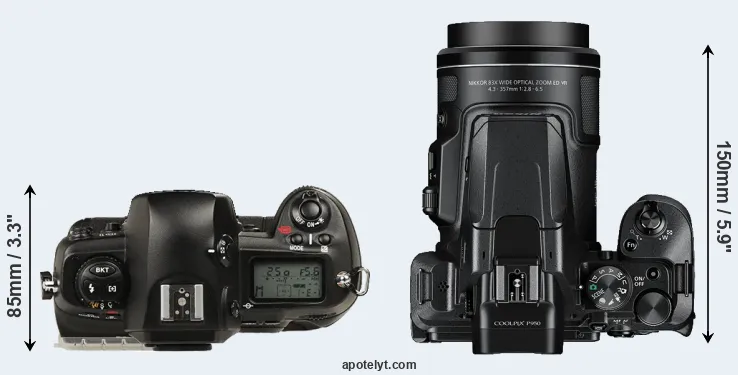 Compare D1 versus P950 top