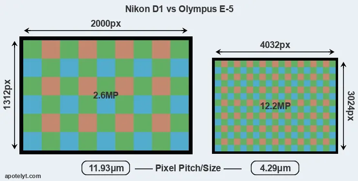 D1 versus E-5 MP
