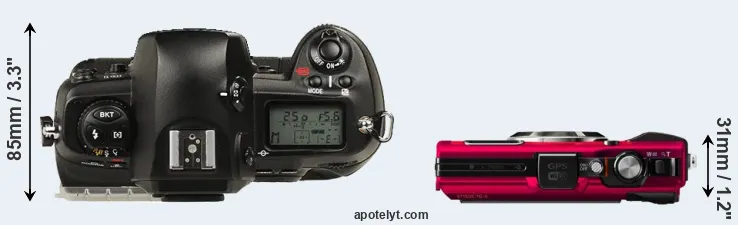 Compare D1 versus TG-4 top