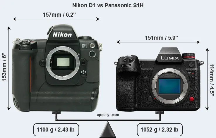 Size Nikon D1 vs Panasonic S1H