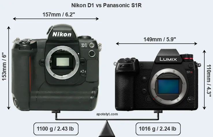 Size Nikon D1 vs Panasonic S1R