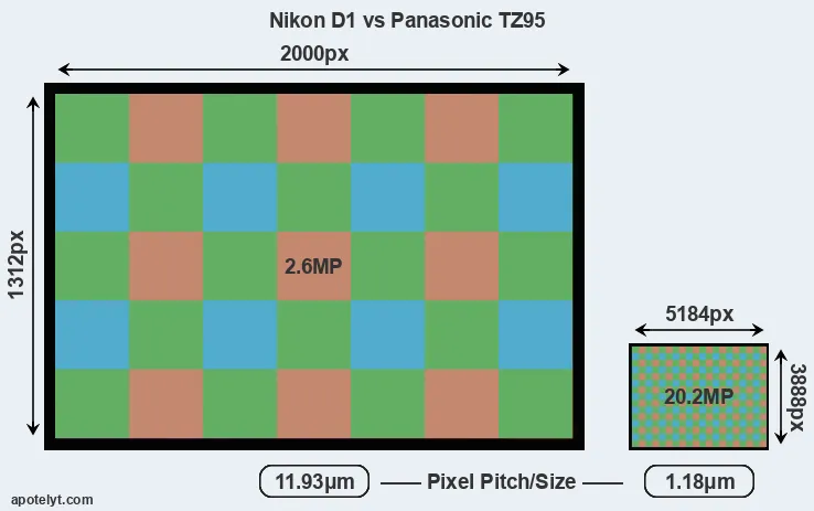 D1 versus TZ95 MP