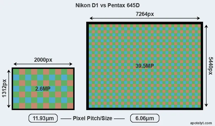 D1 versus 645D MP