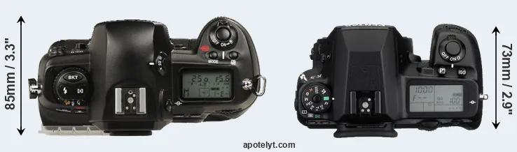 Compare D1 versus K-5 top