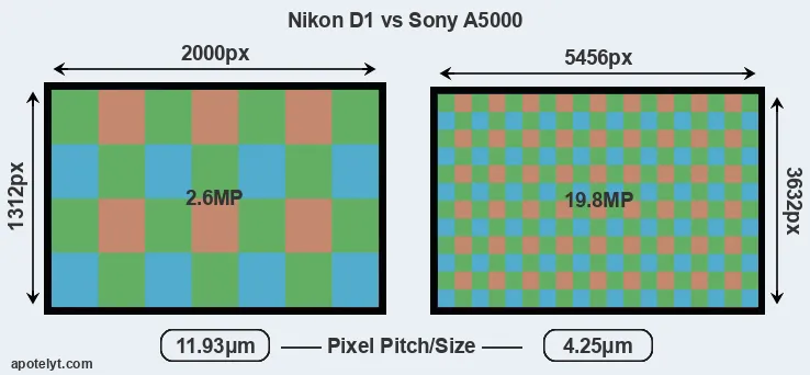 D1 versus A5000 MP