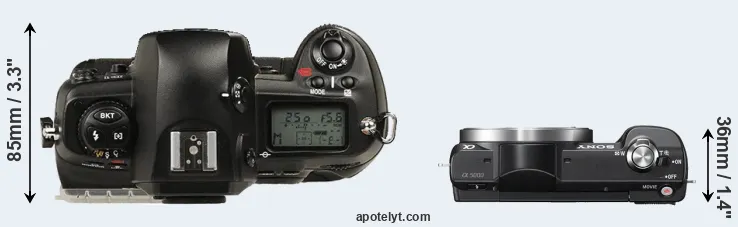 Compare D1 versus A5000 top
