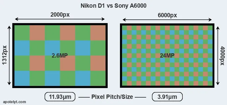 D1 versus A6000 MP