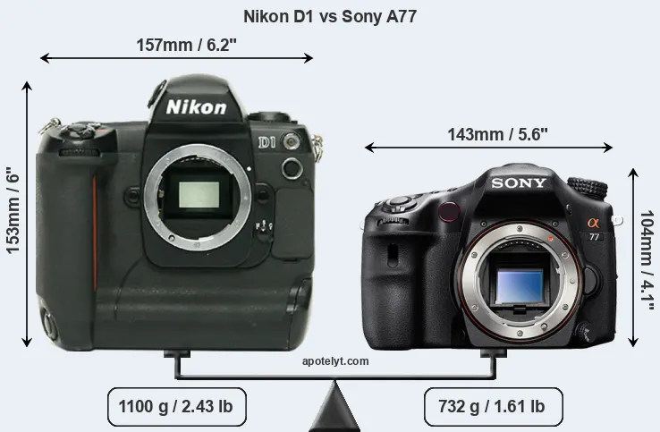 Size Nikon D1 vs Sony A77