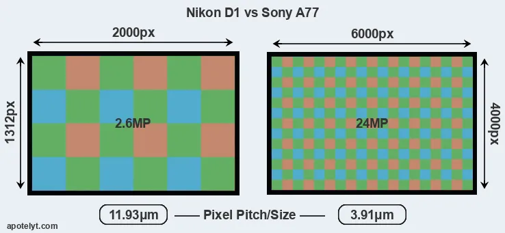 D1 versus A77 MP