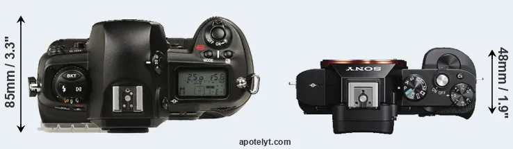 Compare D1 versus A7S top