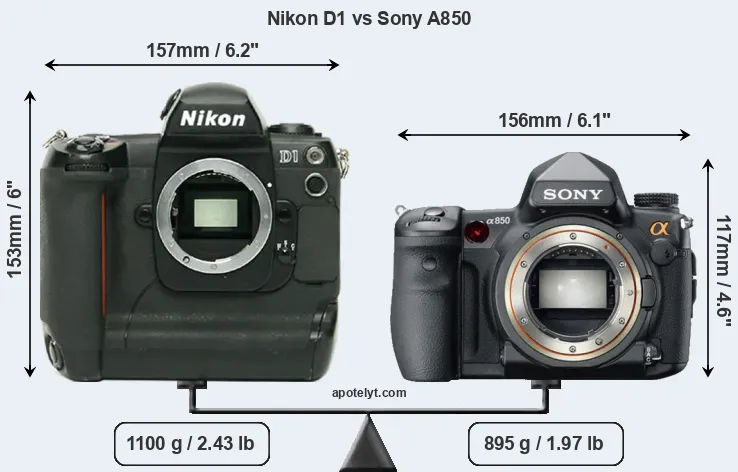 Size Nikon D1 vs Sony A850