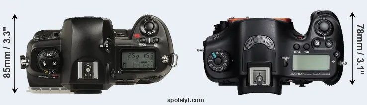 Compare D1 versus A99 top